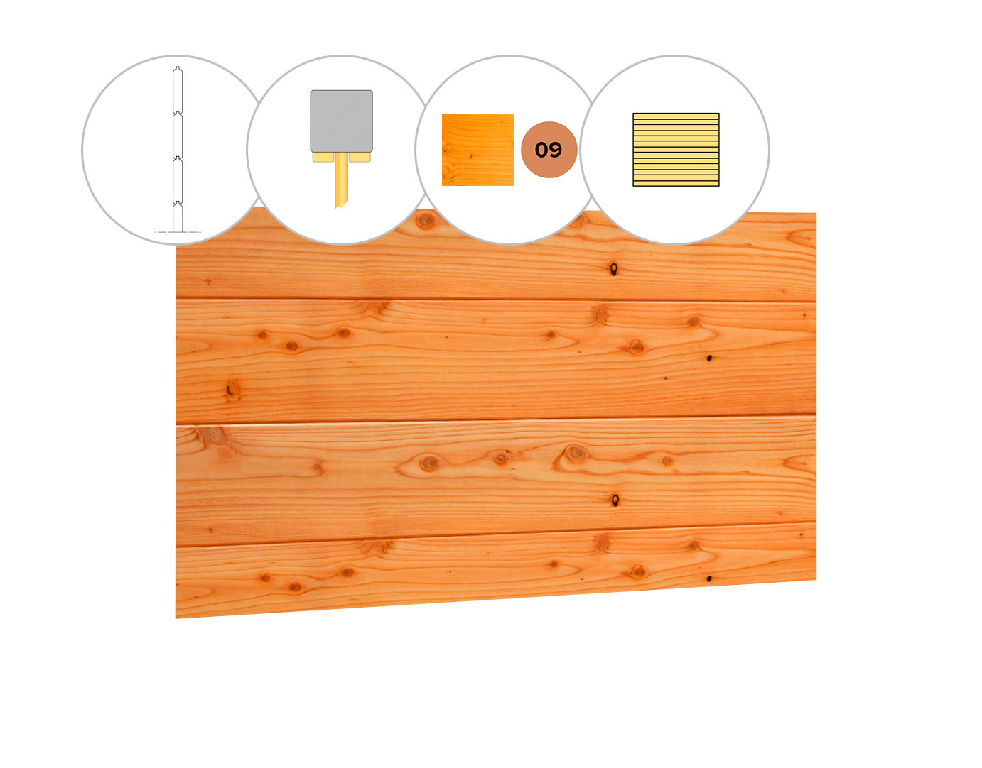 Blokhutprofiel douglas achterwand A, 178,5 x 186 cm, transparant gespoten.
