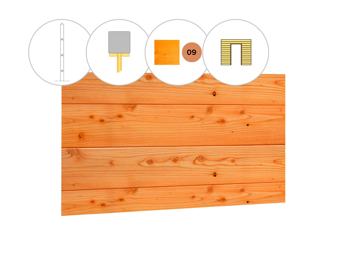 Blokhutprofiel douglas wand C, t.b.v. enkele deur, 278,5 x 224 cm, transparant gespoten.