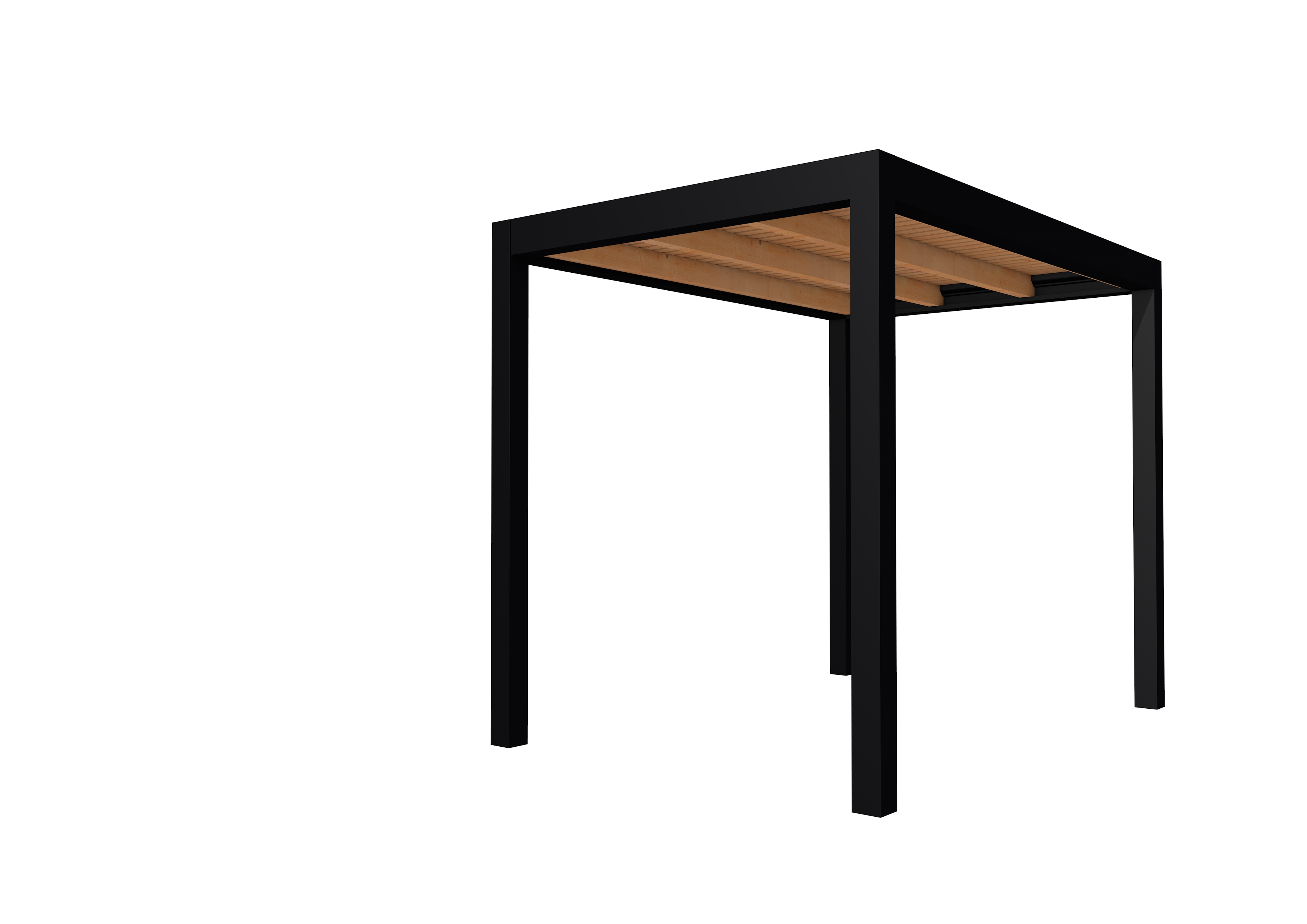 Buitenverblijf plat dak Allure I, douglas, basismodel L/A, 203x303 cm, onbehandeld.