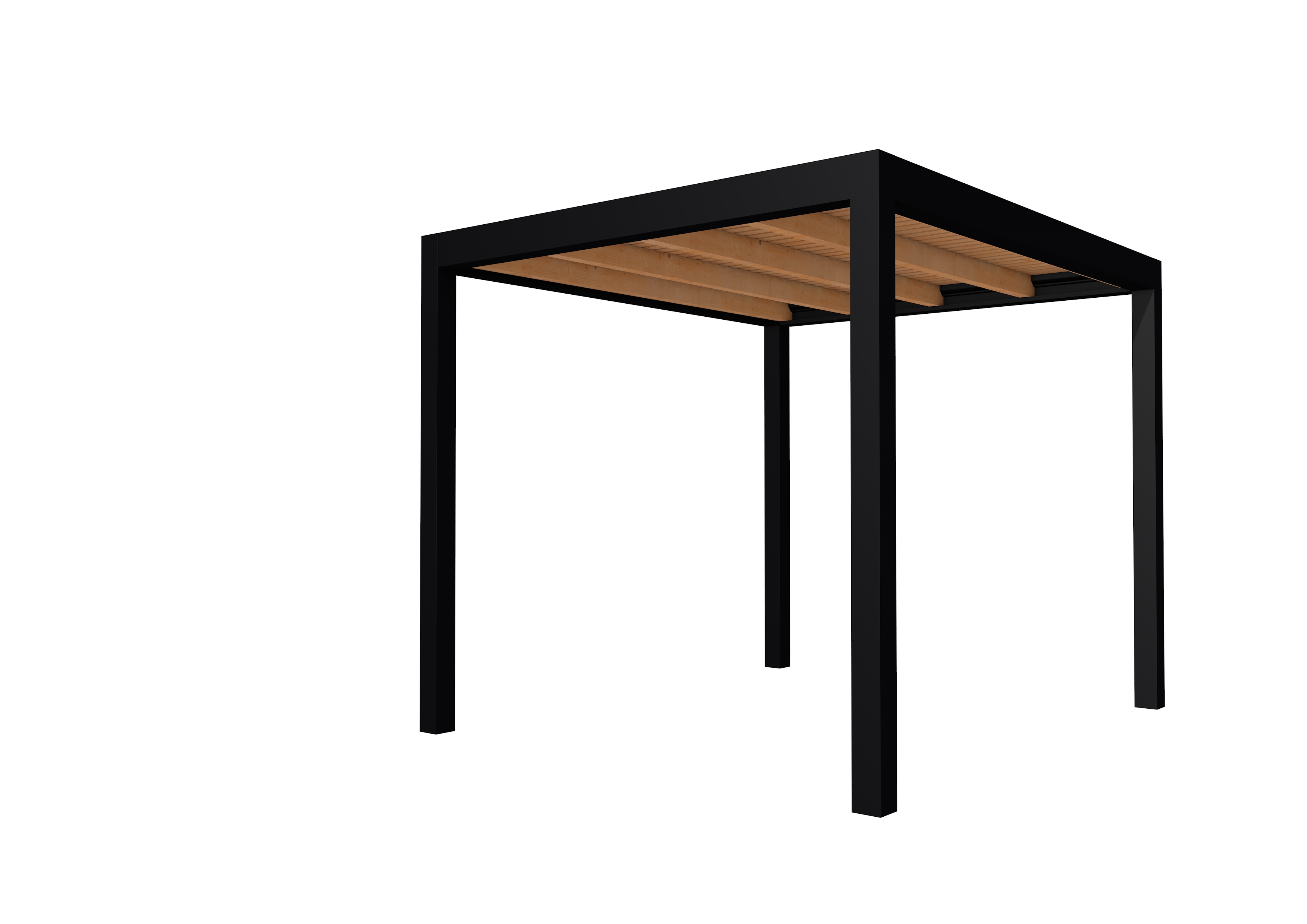 Buitenverblijf plat dak Allure I, douglas, basismodel L/B, 253x303 cm, onbehandeld.