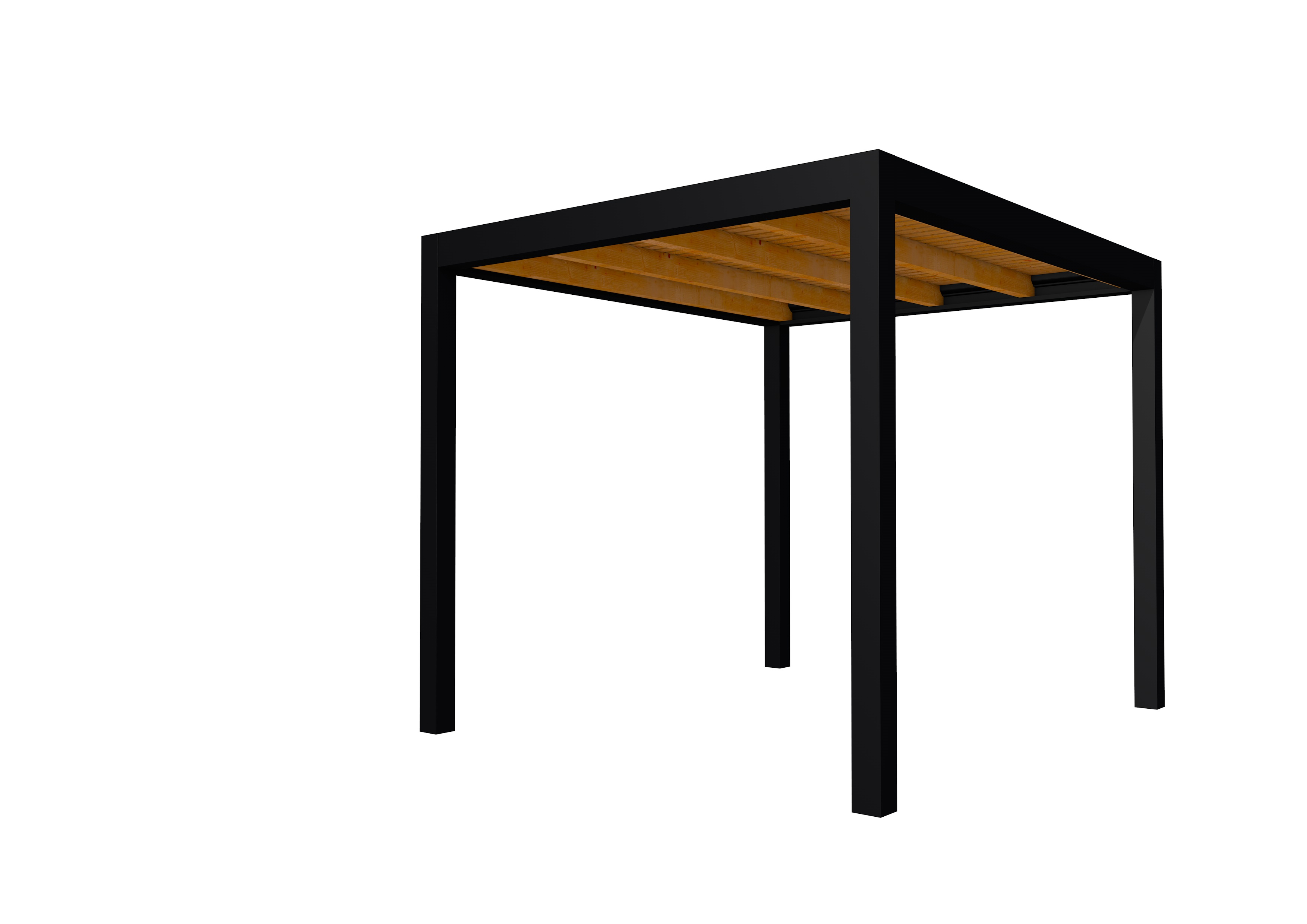 Buitenverblijf plat dak Allure I, douglas, basismodel L/B, 253x303 cm, transparant gespoten.