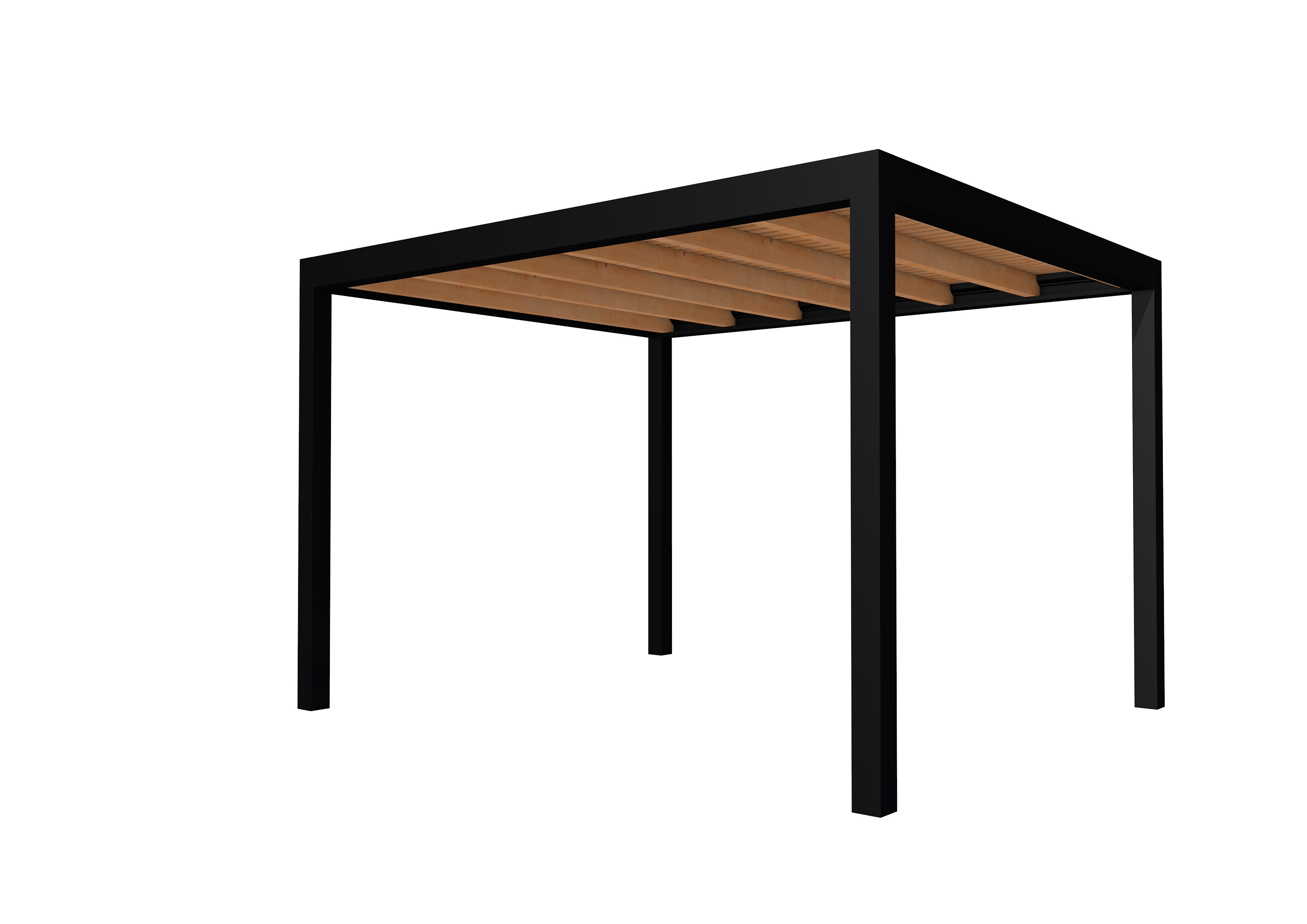 Buitenverblijf plat dak Allure I, douglas, basismodel L/C, 303x303 cm, transparant gespoten.