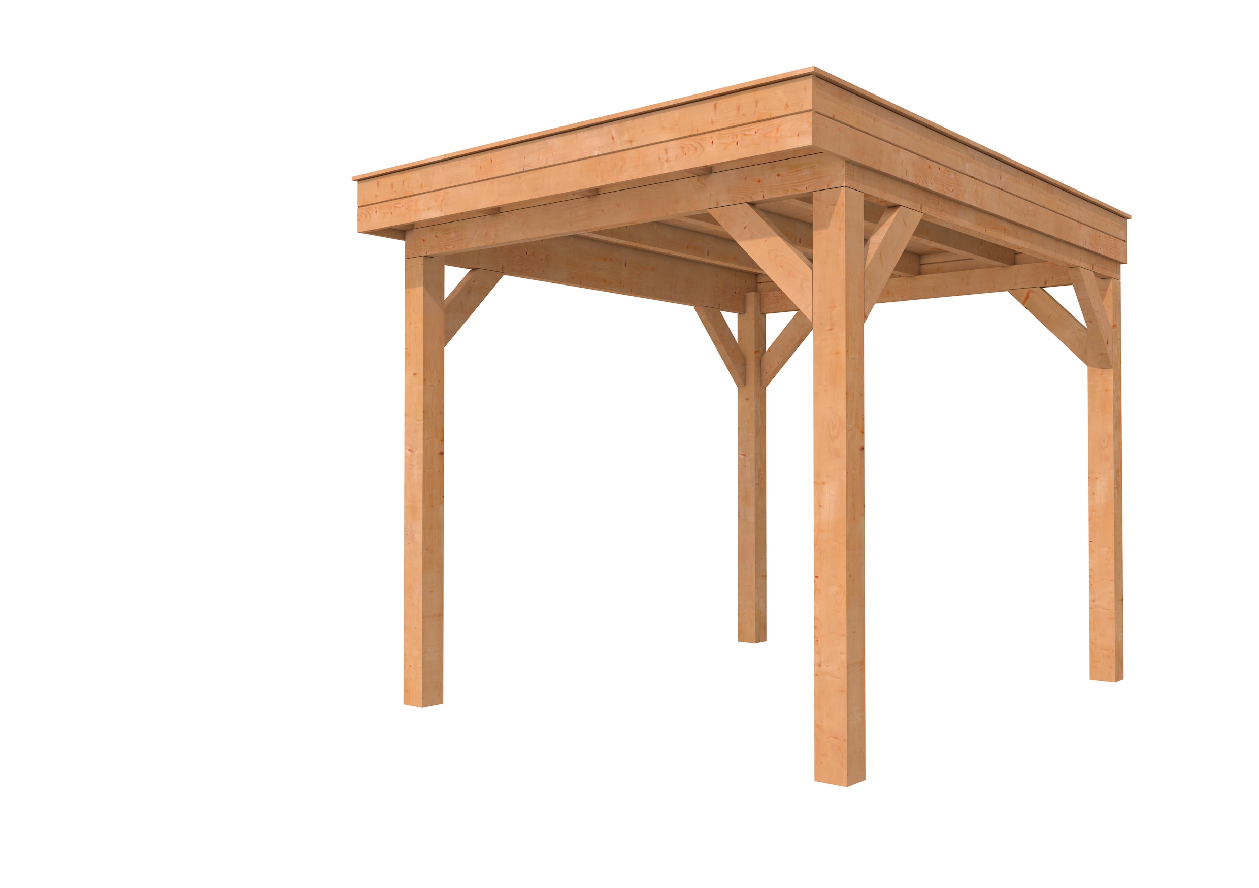 Buitenverblijf plat dak Premium I, douglas, basismodel L/B, 257x307 cm, onbehandeld.