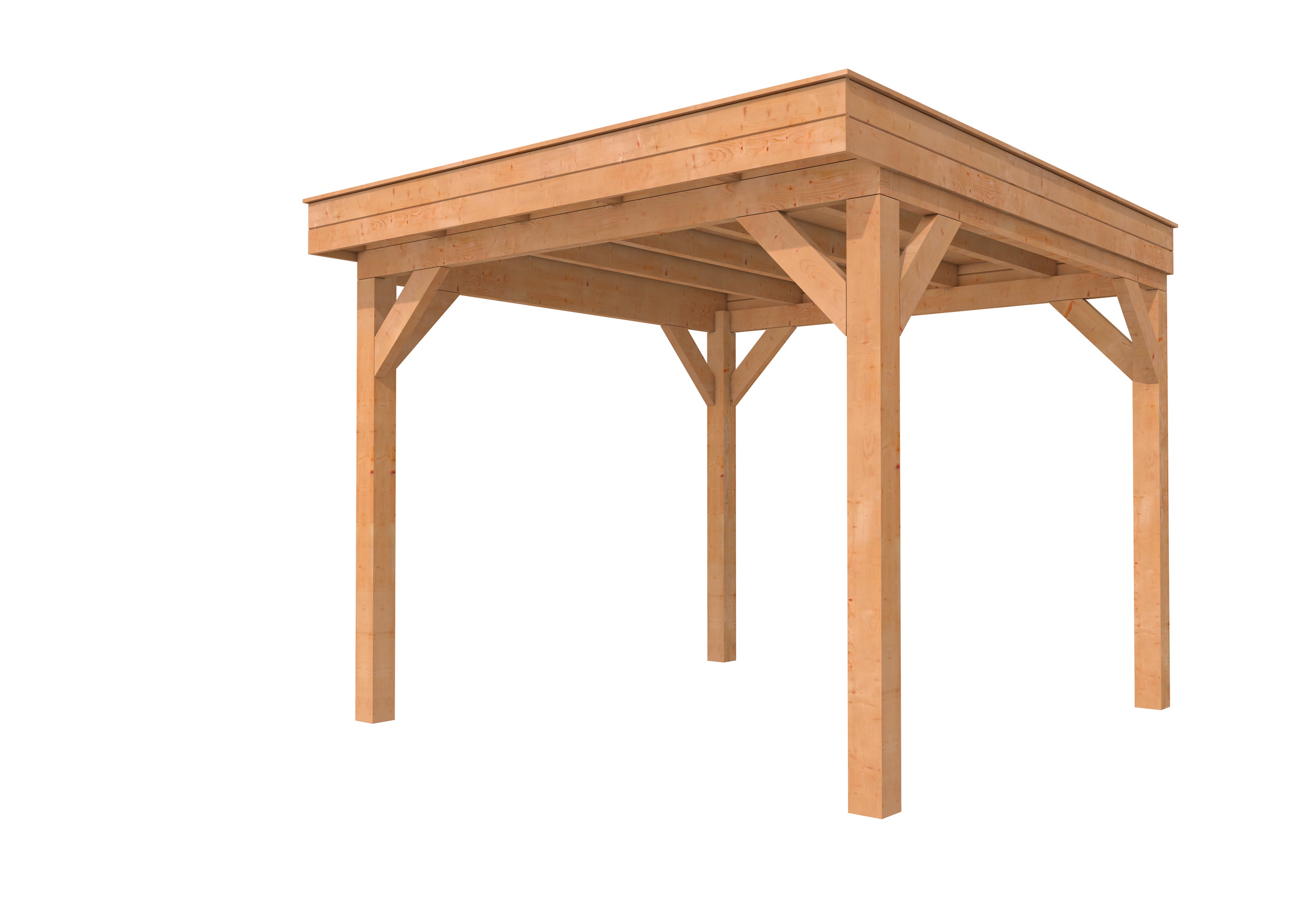 Buitenverblijf plat dak Premium I, douglas, basismodel L/C, 307x307 cm, onbehandeld.