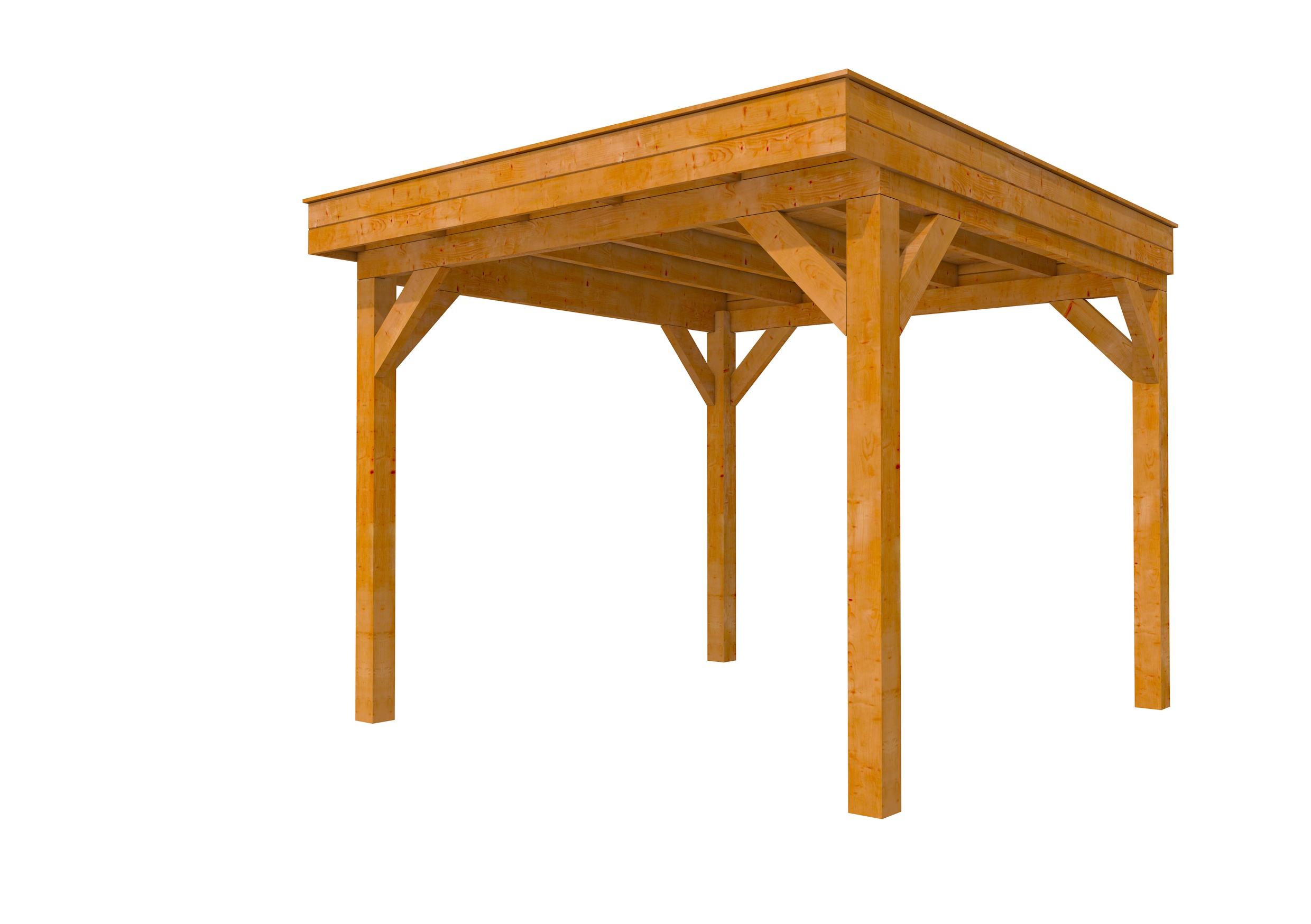 Buitenverblijf plat dak Premium I, douglas, basismodel L/C, 307x307 cm, transparant gespoten.