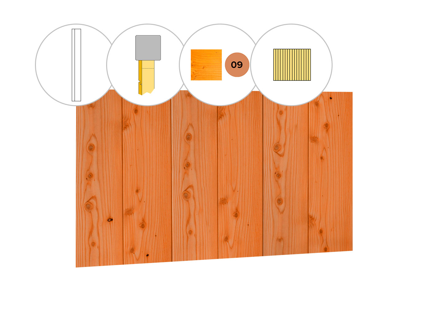 Halfhouts rabat douglas enkelzijdige voorwand D, 328,5 x 285 cm, transparant gespoten.