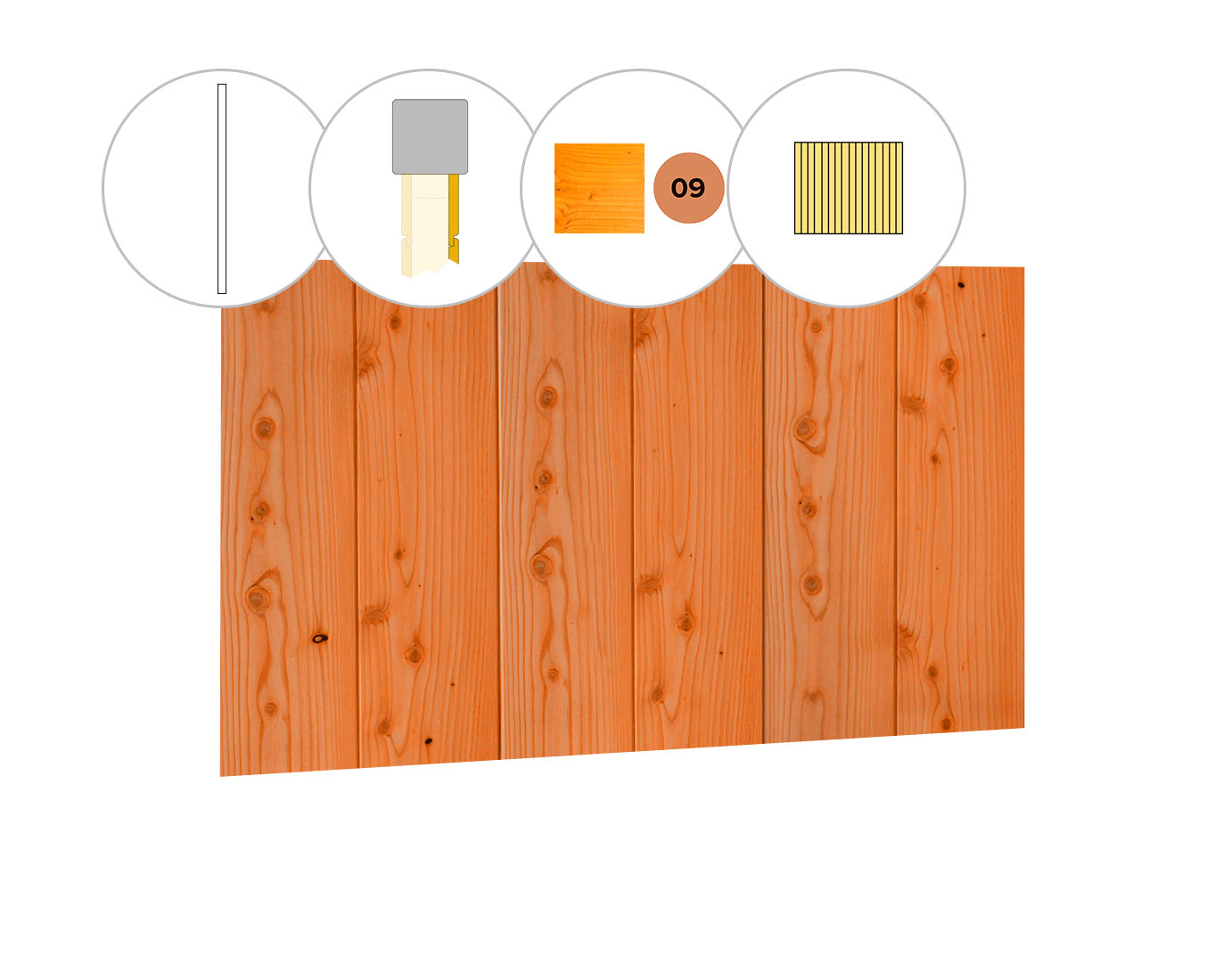 Halfhouts rabat plankenset douglas bij achterwand D, 328,5 x 186 cm, transparant gespoten.