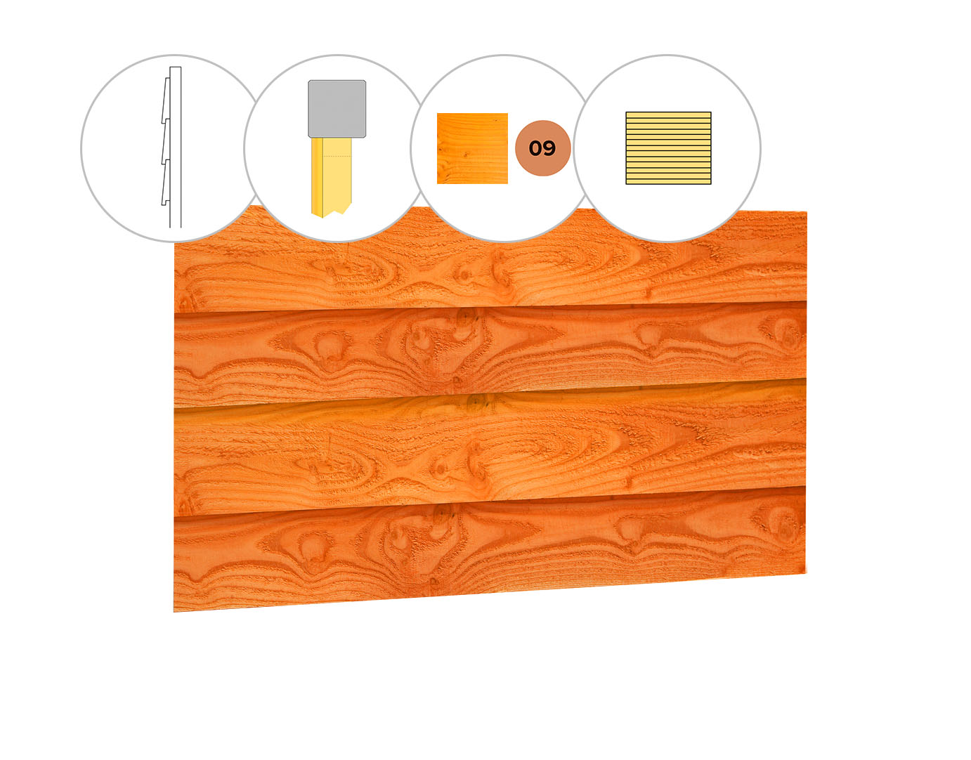 Zweeds rabat douglas enkelzijdige wand D, 328,5 x 224 cm, transparant gespoten.