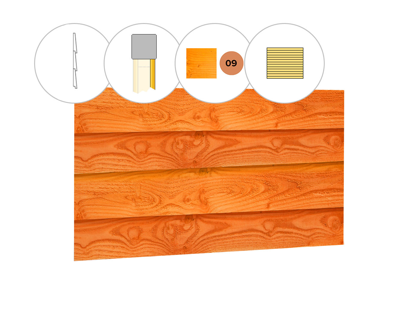 Zweeds rabat plankenset douglas bij wand D, 328,5 x 224 cm, transparant gespoten.